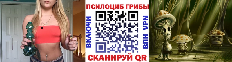 Купить  Фокино  Псилоцибиновые грибы прущие грибы 